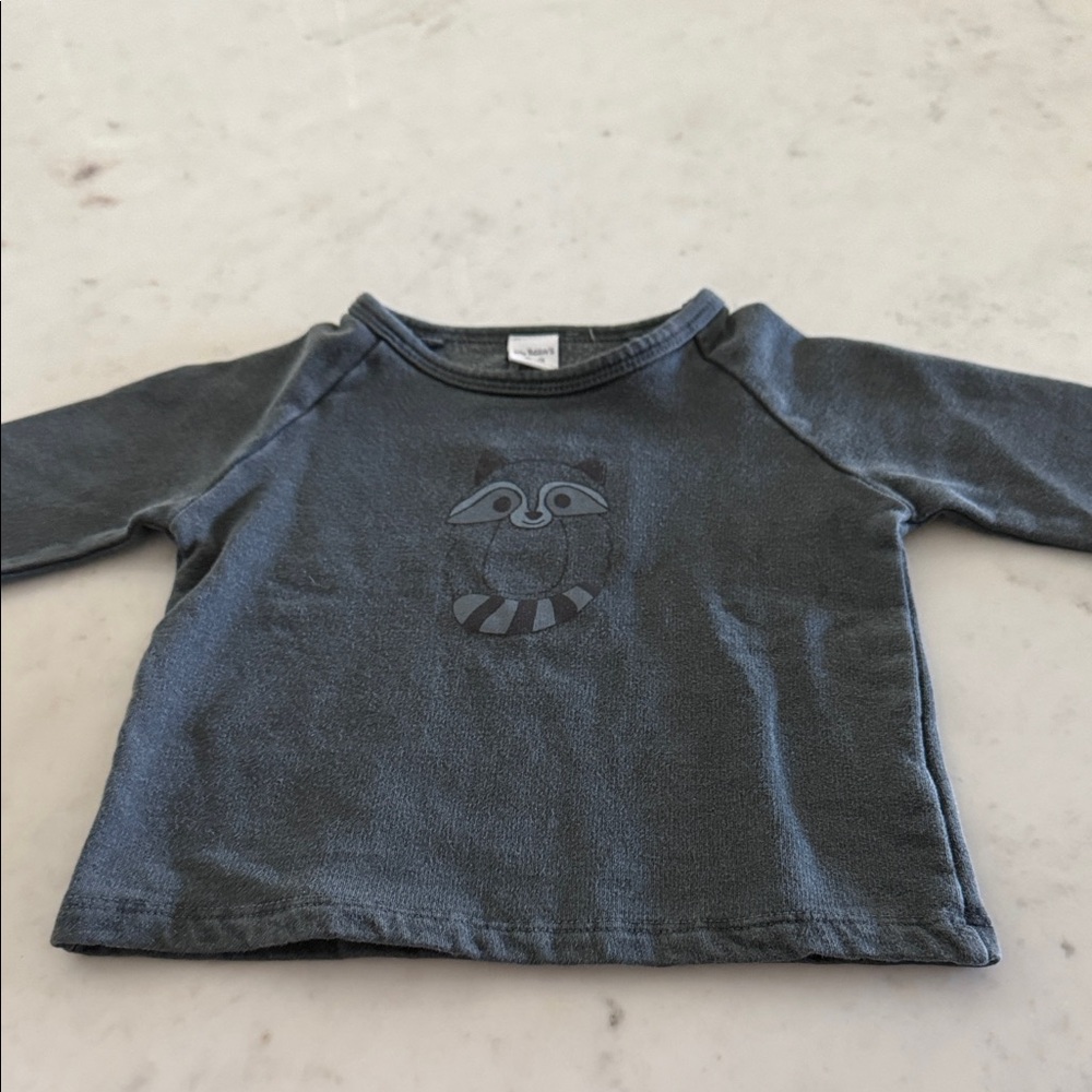 Cozy Kids Long Sleeve Shirt with Raccoon Design